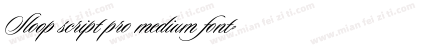 Sloop script pro medium font字体转换